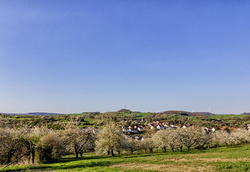 Ortsgemeinde Dittweiler