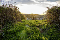 Frühling in Dittweiler