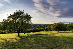 Sonnenuntergang über Dittweiler