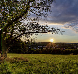 Sonnenuntergang über Dittweiler 