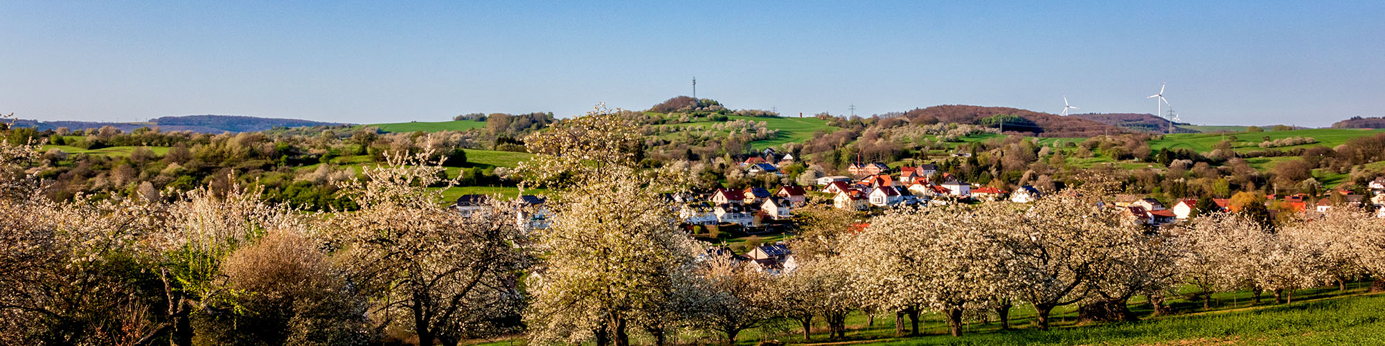 Dittweiler im Frühling