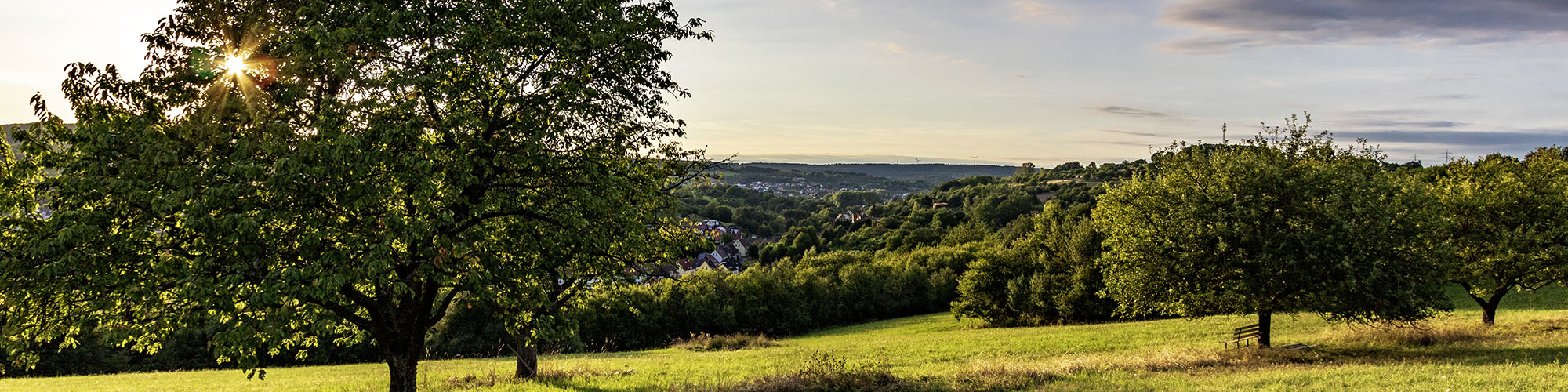 Sommer in Dittweiler